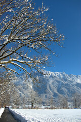 Winter mountain panorama in Schaan in Liechtenstein 16.1.2021