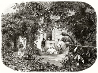 people framed by luxuriant vegetation of garden along boulevard Doret, Saint Denis, Reunion island. Ancient grey tone etching style art by Riou, Le Tour du Monde, 1862 - 423675698