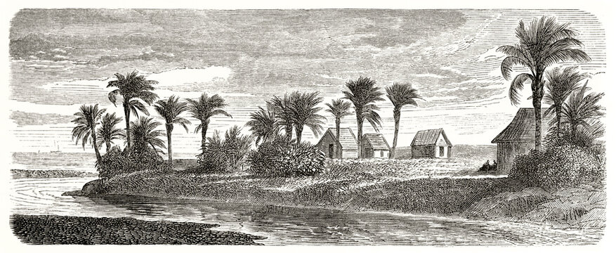 aint-Leu river mouth and small village surrounded by palms on shore, Reunion island. Ancient grey tone etching style art by De Berard, Le Tour du Monde, 1862