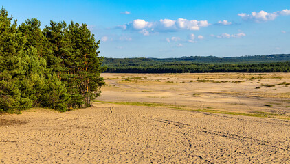 Fototapeta na wymiar Panoramic view of Bledowska Desert sand plateau dusty landscape with scarce vegetation at Dabrowka view point near Chechlo in Lesser Poland