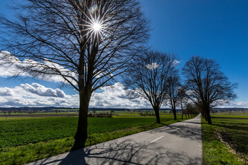 allee ramsernstrasse messen im limpachtal solothurn schweiz ans ziel fahren