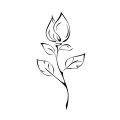 ornament 1654. stylized flower bud on a stem with leaves in black lines on a white background