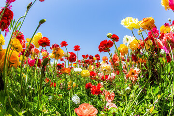 Wonderful trip for spring beauty