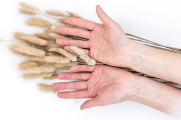 Fototapeta premium Wheat ears with hands