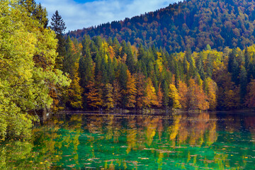 The green smooth water