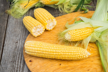 Maize. Fresh Corn on wooden table