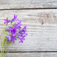 Bluebells on old wooden table. Campanula Flowers. Vintage floral background. Copy space