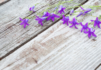 Bluebells on old wooden table. Campanula Flowers. Vintage floral background. Copy space