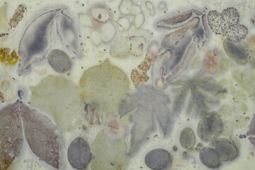 Fragment of hand-dyed fabric using eco-print technique