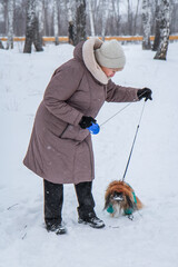 Portrait of an elderly woman with a dog. Woman with pekingese dog walking on the snowy field.