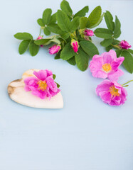 Fototapeta na wymiar Rose. Pink flower with Heart of marble on an blue wooden table. Valentine background