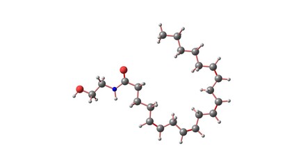 Anandamide molecular structure isolated on white