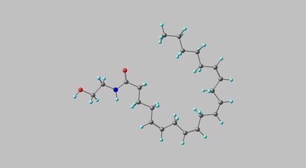 Anandamide molecular structure isolated on grey