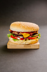 burger on a dark background