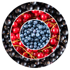 Blueberries, black and red currants in the shape of a circle. Berries for infographics. Fresh berries closeup.