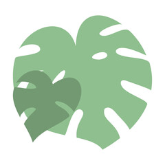 Minimal Monstera leaves set. Isolated on white background. Stock vector illustration.