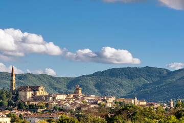 Fototapeta na wymiar A flock of birds hovers on the blue sky above the historic center of Arezzo, Tuscany, Italy