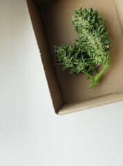 Cannabis buds in cardboard box. Medicinal marijuana usage. Hemp recreation, pastime concept.
