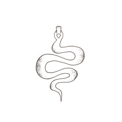 Snake outline graphics. Tattoo sketch. Geometry and the snake