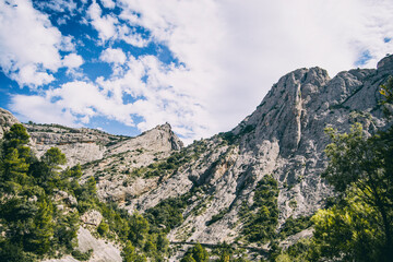 calm stream with many stones on the path