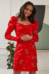 Fashion style model sexy pretty woman perfect body shape dark tanned skin brunette hair wear...