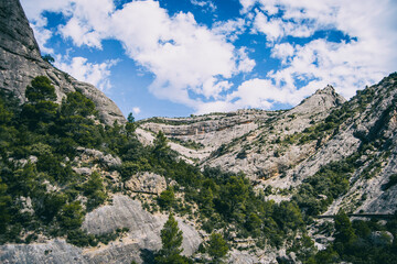calm stream with many stones on the path
