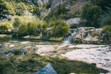 calm stream with many stones on the path