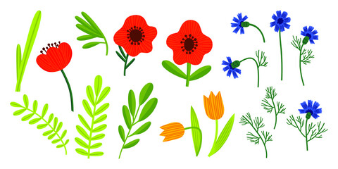Vector set with wildflowers. Doodle illustration with poppies, cornflowers, leaves, tulips. Floral elements for creating a postcard, pattern, greeting card