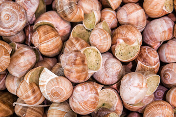 frozen snails in the supermarket