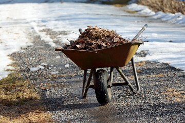 Wheelbarrows full of dry leaves and grass