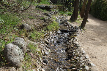 pequeño río por el parque con piedras y arboles