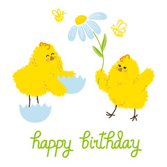 happy birthday greeting card, cute chickens with chamomile, vector image