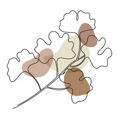Ginkgo Biloba Leaf line arts frame cover collection. Minimalistic modern line art  Flower with abstract shape background for print, beauty and fashion. vector illustration.