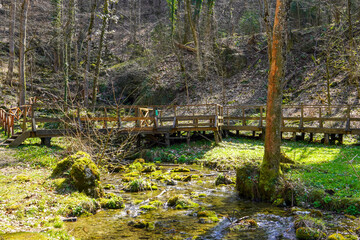 A wooden walkway with a brigde crossing a small stream in a wooded area.
