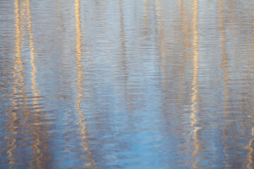 image of water tree reflection