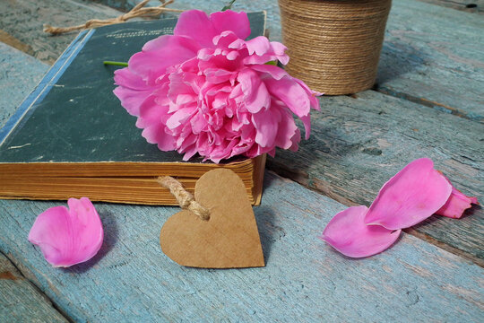 Valentines Day. Book, Heart and Peony Flower