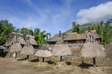 Row of traditional ngadu, symbols of male ancestors of the Ngada people or tribe in Luba village near Bajawa on Flores island, East Nusa Tenggara, Indonesia