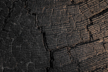 Fototapeta premium Old wood texture