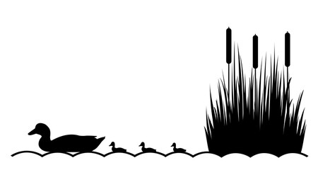 Duck with ducklings on the lake. Vector illustration.