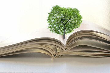 A tree on a documents