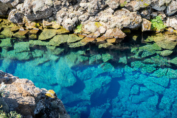 Thingvellir National Park Crystal Clear Water