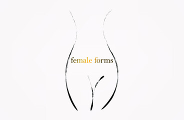 line of the female body on a light background.  Black line.  vector. silhouette female