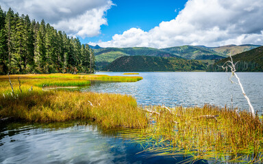 Shudu lake scenic view with grass in middle of water and autumn colors in Potatso national park Yunnan China
