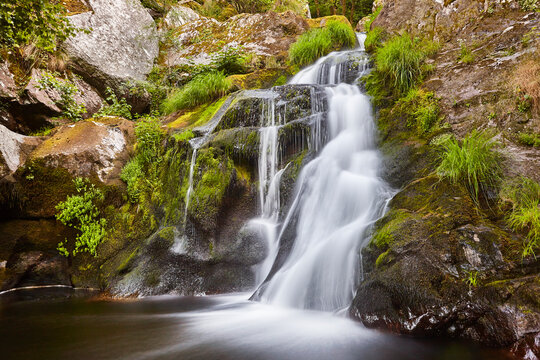 Atlantic green rainforest with cascade and creek. Galicia, Ourense. Spain