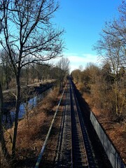 Fototapeta premium railway in the forest