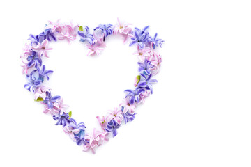 Heart symbol made of fresh hyacinth flowers isolated on white background. Flat lay, top view, copy space