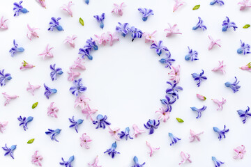 Flowers composition. Frame made of multicolored hyacinth flowers on white background. Flat lay, top view, copy space