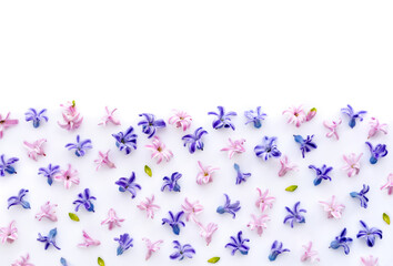 Floral border of fresh hyacinth flowers isolated on white background. Flat lay, top view, copy space