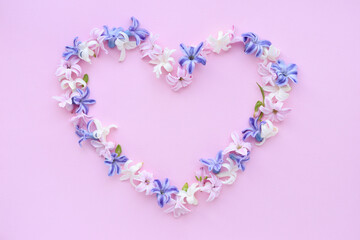 Heart symbol made of fresh hyacinth flowers on pink background. Flat lay, top view, copy space
