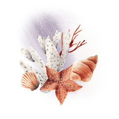 Ocean composition, sea corals and shells, watercolor illustration